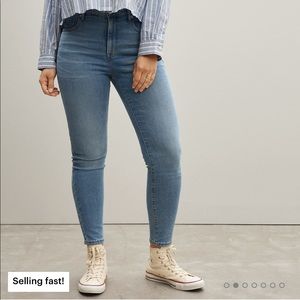 The Curvy Authentic Stretch High Rise Skinny Jean